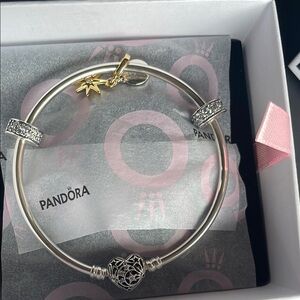 NWT Pandora Silver and Gold Charm Bracelet